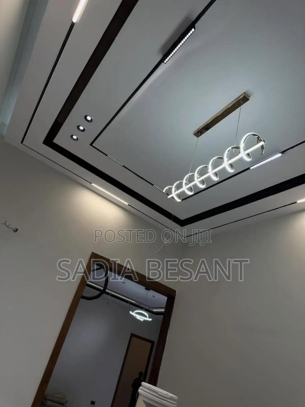 Ceiling Project Spotlight