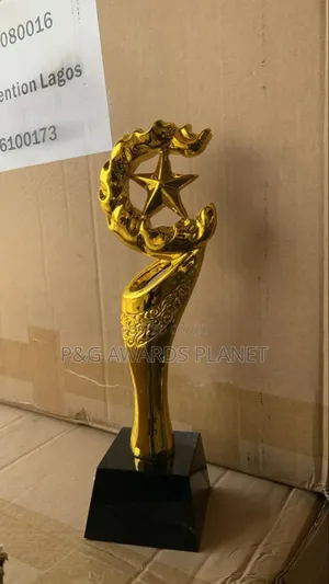 Non Peeling Trophy Award Pg4102
