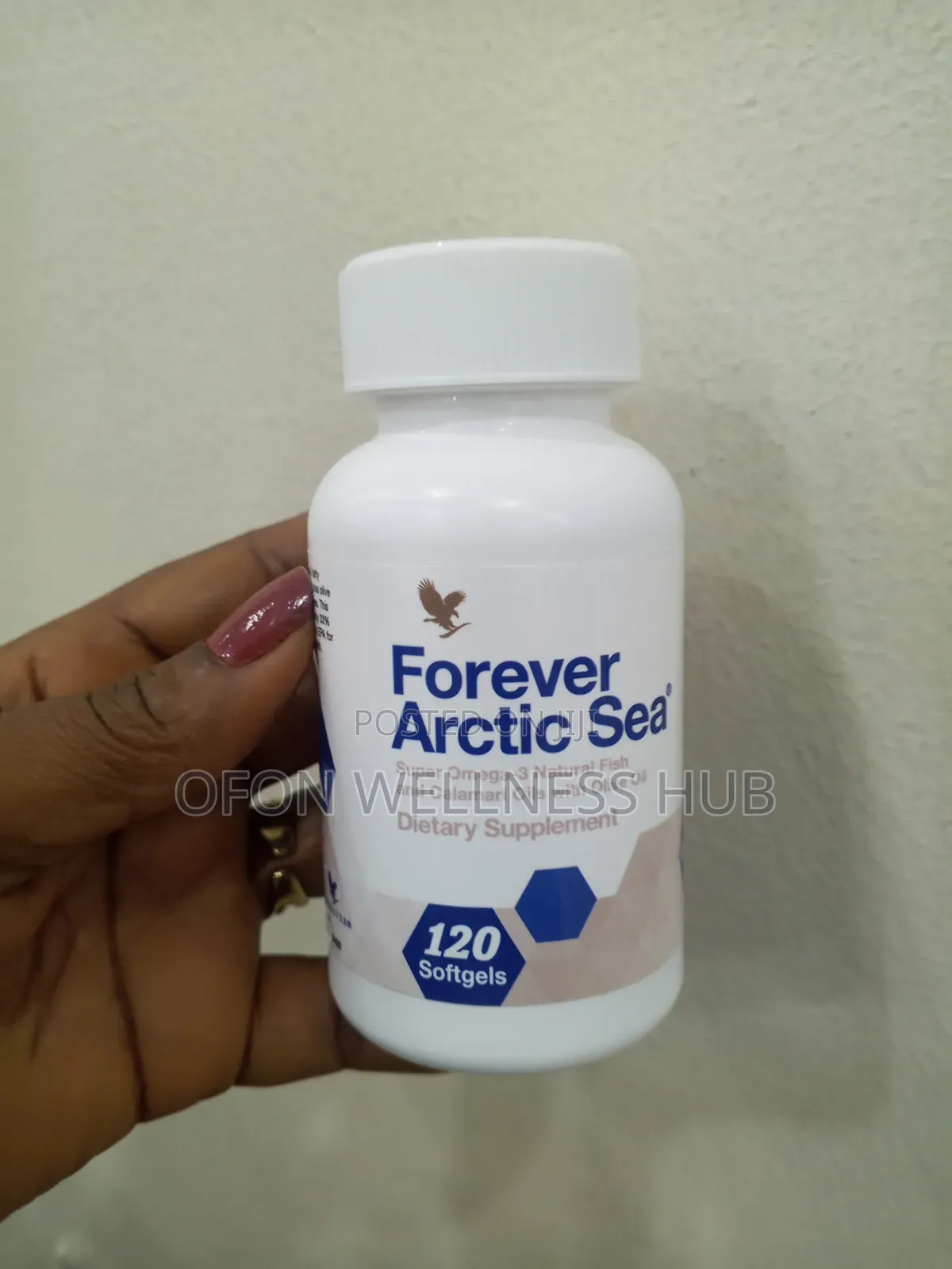 Forever Artic Sea
