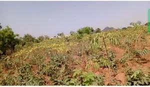 3 Plot Land Along Airport Road to Egbejila Junction