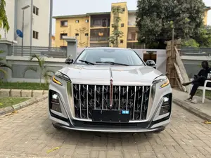 New Hongqi E-HS3 2023 Gray