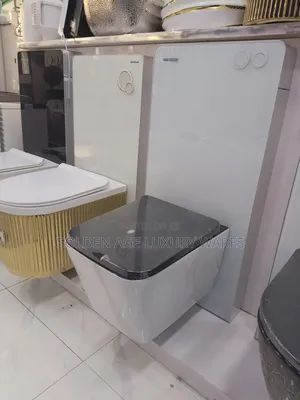Marble White and Black Monolith Wc White