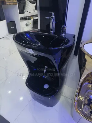 Black Ablution Basin