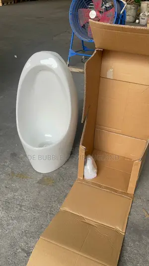White Urinal Bowl
