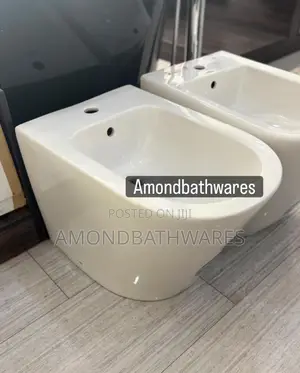Floor Standing Bidet