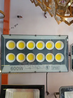 600w Flood Light