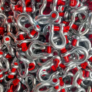 Shackles G209