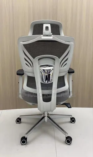 Newly Designed Executive Office Recline Chair