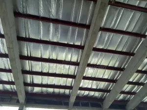 Steel Roofing