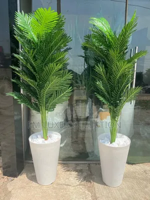 Luxury Potted Plant