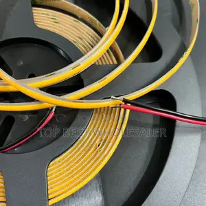 Warm White Cob Led Strip 10meter 24v