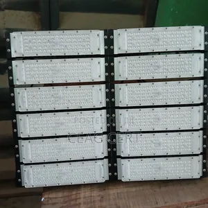 600w Industrial Light