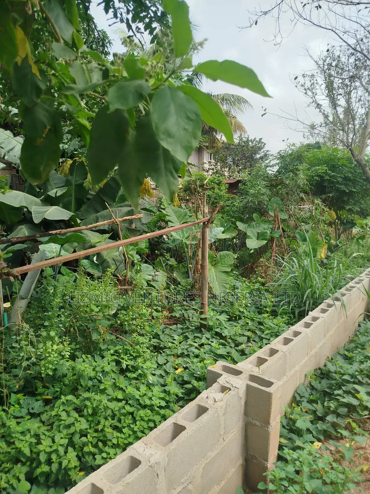 Half Plot for Sale