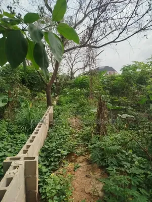 Half Plot for Sale