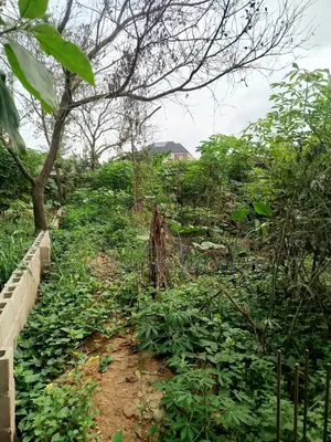 Half Plot for Sale