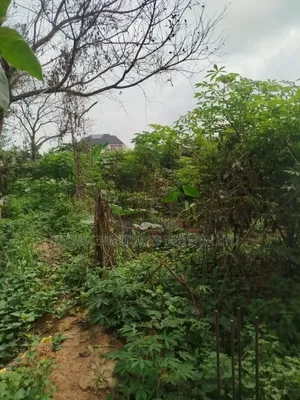 Half Plot for Sale