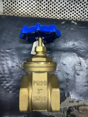 2" Brass Gate Valve