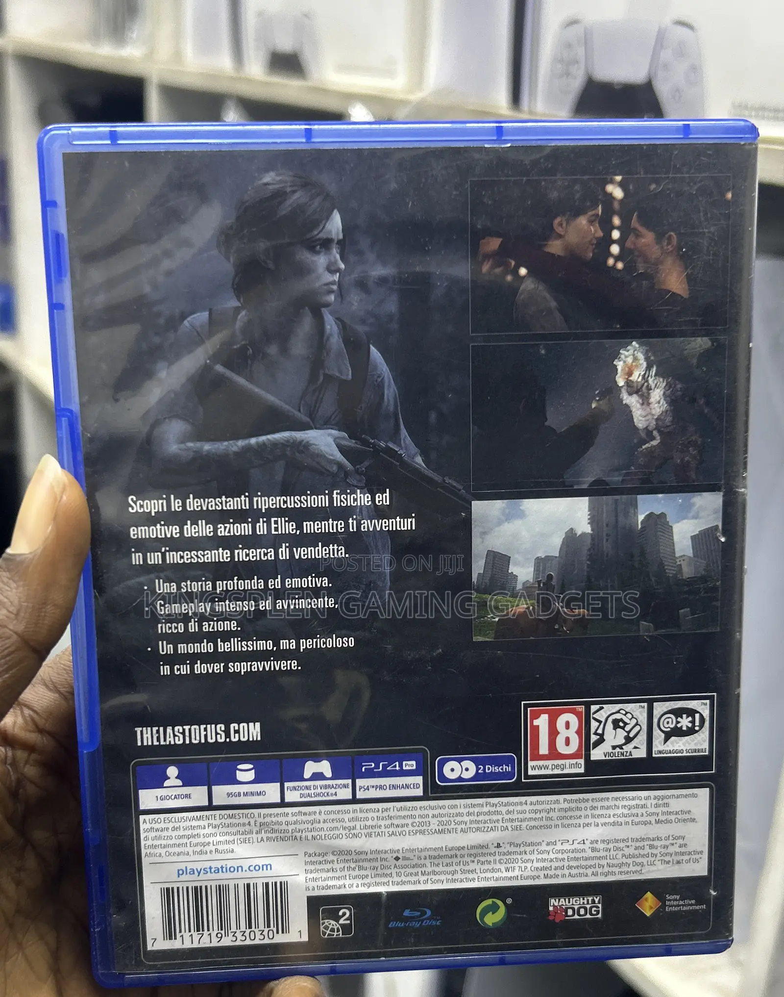 The Last of Us