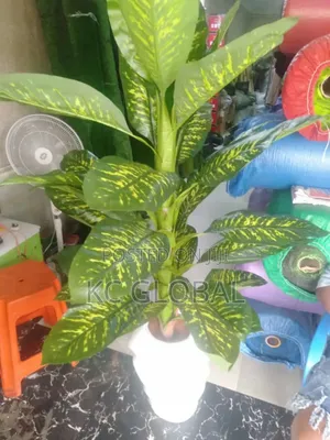 Artificial Flower and Pot Available