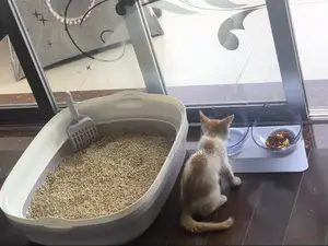Semi-Enclosed High-Side Cat Litter Box | Low Border Cat Litter Box