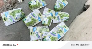 Organico Bio Enzymes For Digester System
