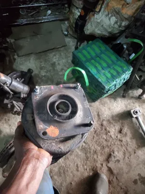 Kia Sedona Old Model Front Shock and Hub