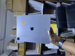 Apple iPad Pro 256 GB Gray