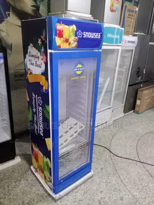 Snowsea Chiller 300l