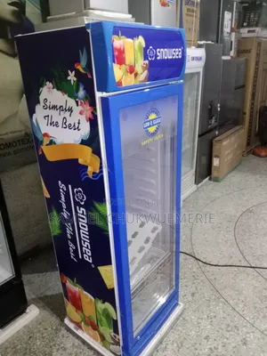 Snowsea Chiller 300l