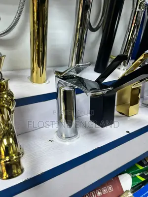 Silver Basin Luxury Faucet