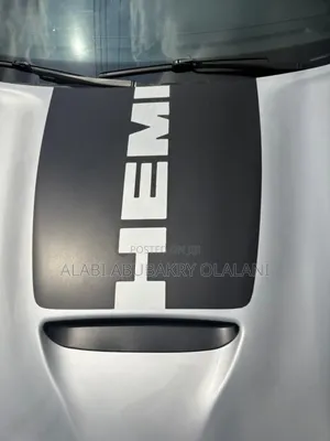 Dodge Charger 2019 Silver