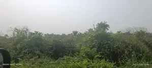 Half Plot of Land for Sale in Akobo-Ojurin
