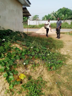 The Two Plots of Land Is for Sale