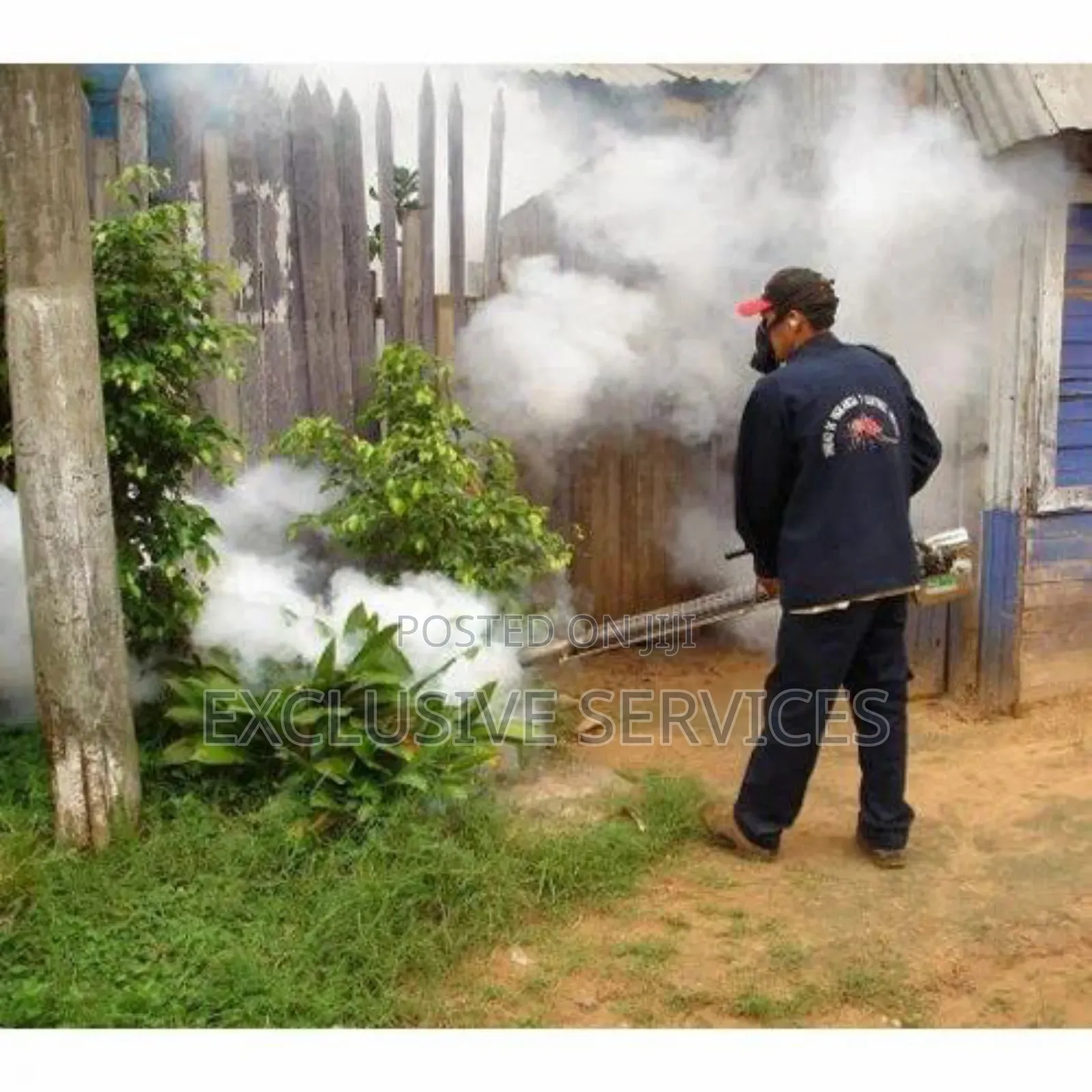Fumigation Services