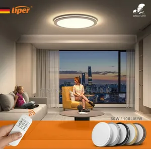 Liper Surface Fittings