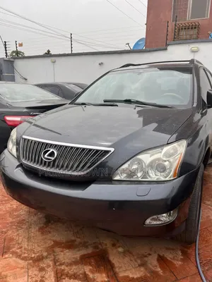 Lexus RX 350 2007 Gray