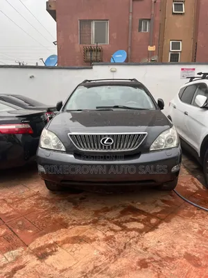 Lexus RX 2007 Gray