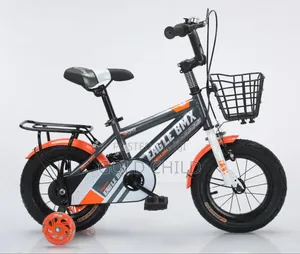 Electronic Bikes