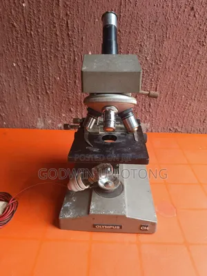 Olympus Microscope