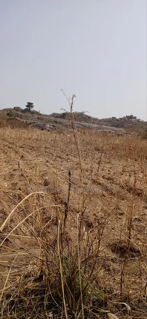 3 Plots at Dwei Du Close to the Fueling Station