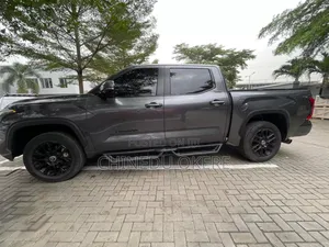 Toyota Tundra Limited CrewMax 5.5' Bed 2024 Gray