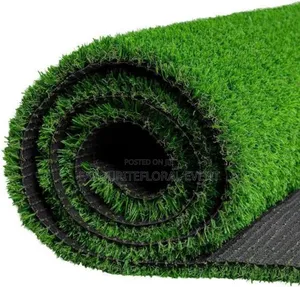 Fog Machine and Green Rug