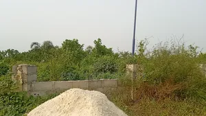 Land For Sale At Rukpokwu
