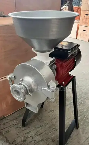 Wet and Dry Grinder