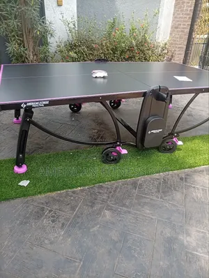 Table Tennis Outdoor