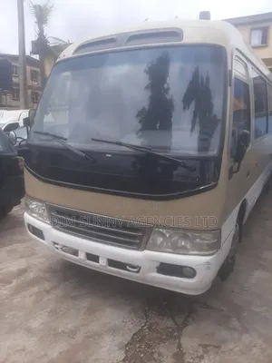 Toyota Coaster 2019 Brown