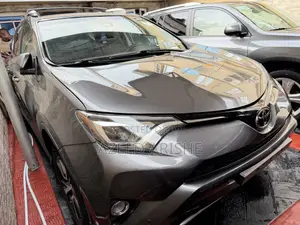 Toyota RAV4 XLE AWD (2.5L 4cyl 6A) 2016 Gray