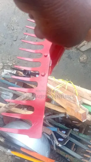 Rake With Stick