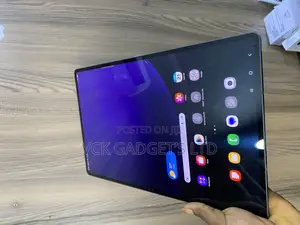 Samsung Galaxy Tab S9 Ultra 256 GB Gray