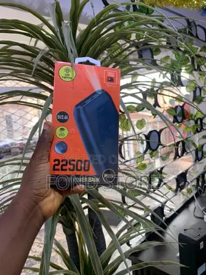 New Age Polymer Power Bank